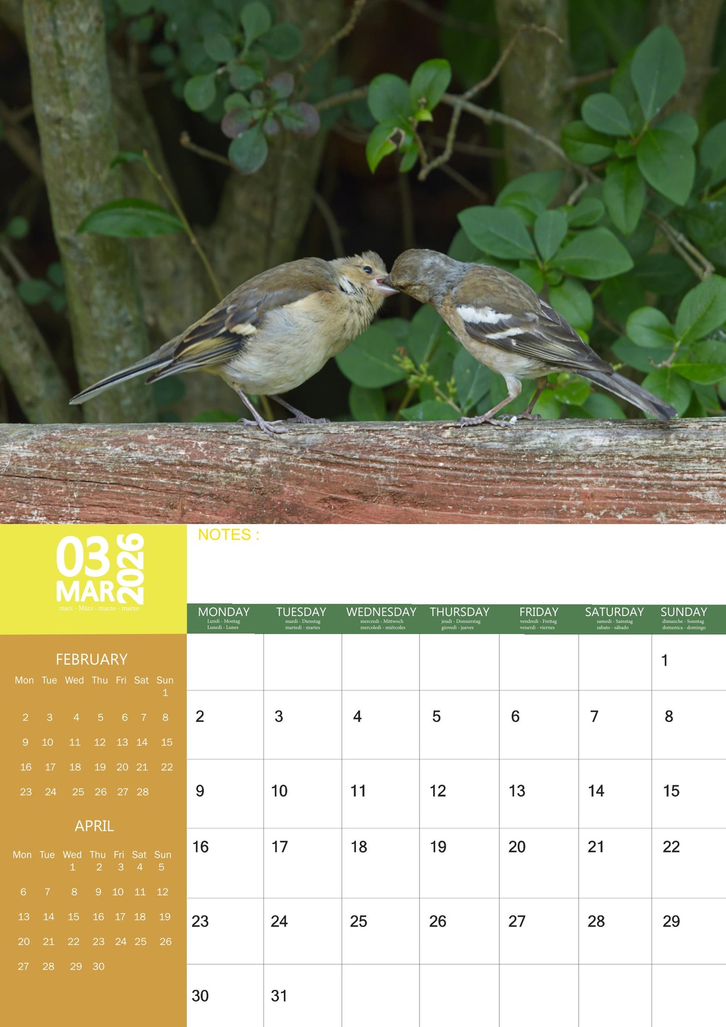 Garden Birds Calendar 2026 – M-PRA Range