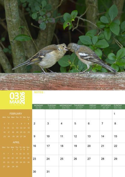 Garden Birds Calendar 2026 – M-PRA Range