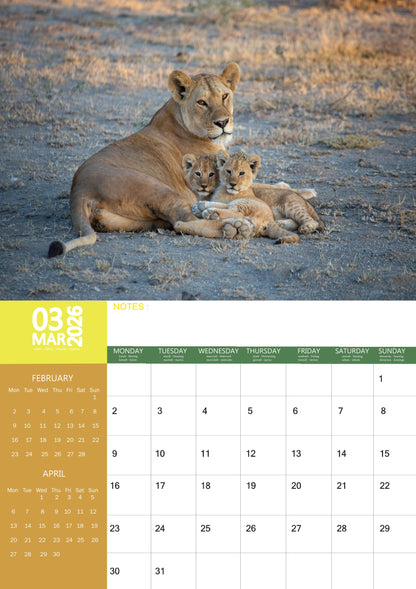 Lions Calendar 2026 – M-PRA Range