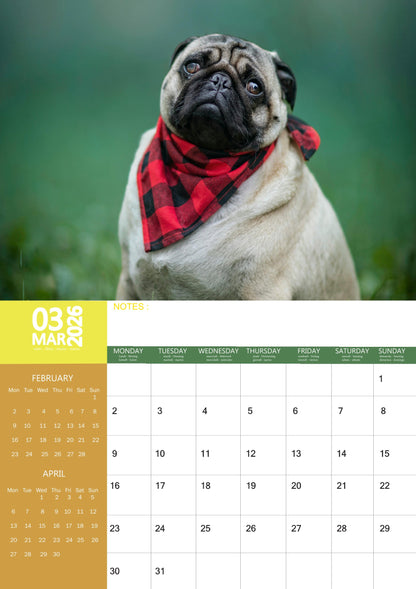 Pug Dog Calendar 2026 – M-PRA Range