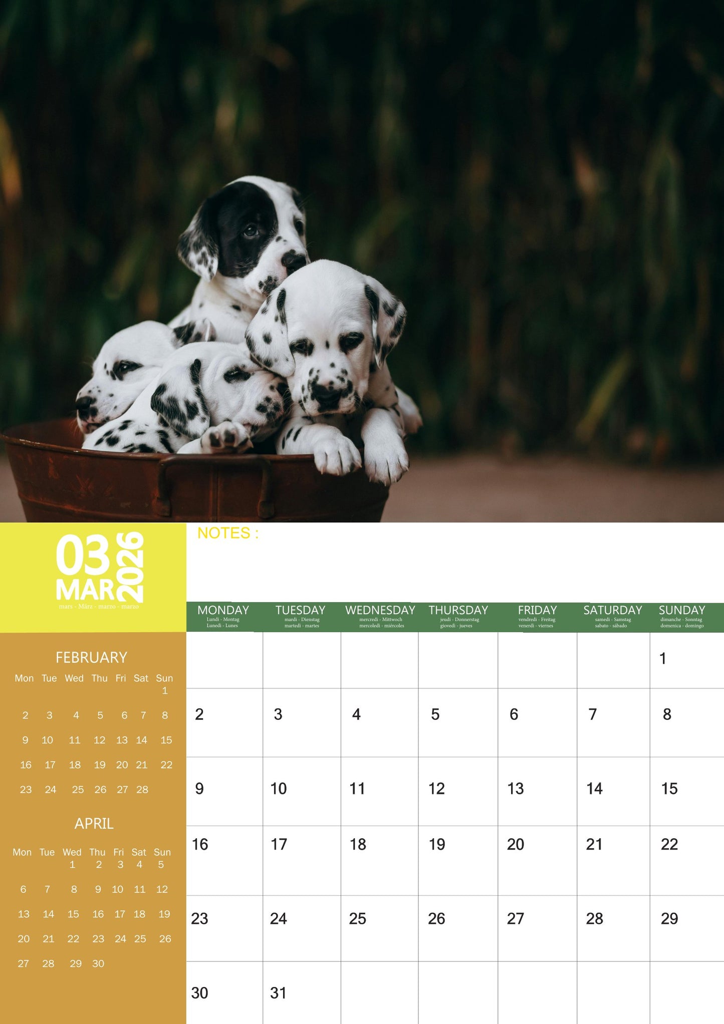 Dalmation Dog Calendar 2026 – M-PRA Range