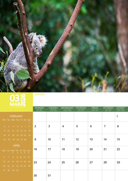 Koalas Calendar 2026 – M-PRA Range