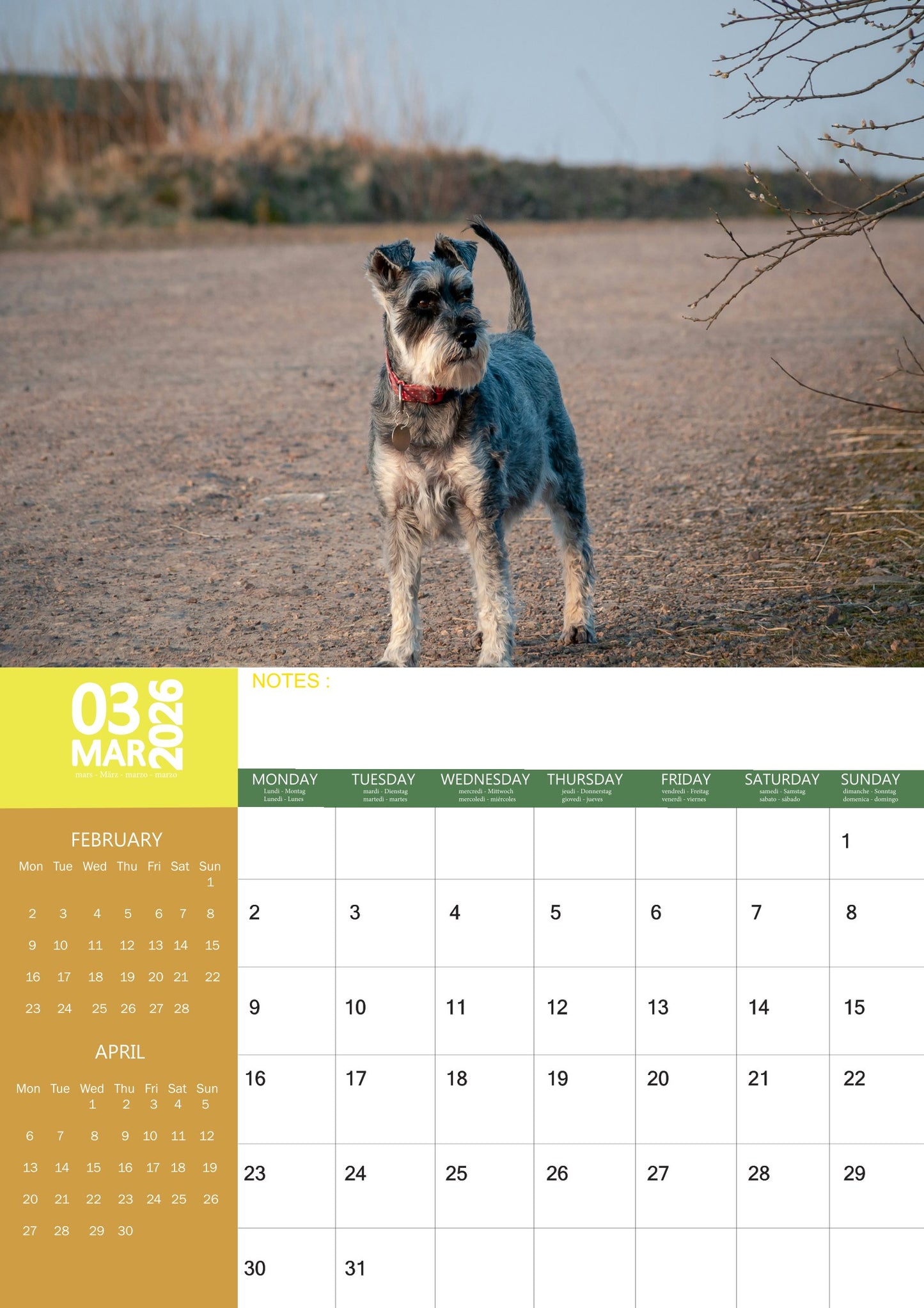 Miniature Schnauzer Dog Calendar 2026 – M-PRA Range