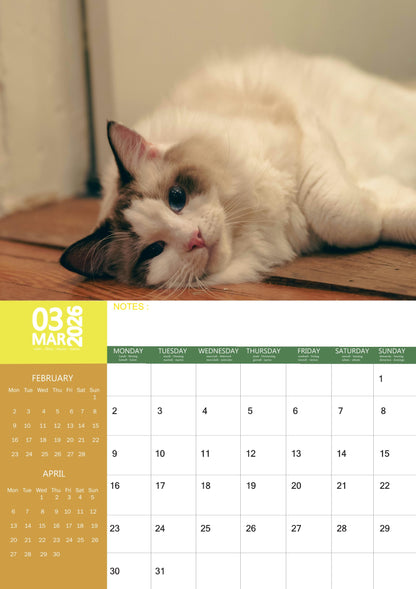 Ragdoll Cat Calendar 2026 – M-PRA Range