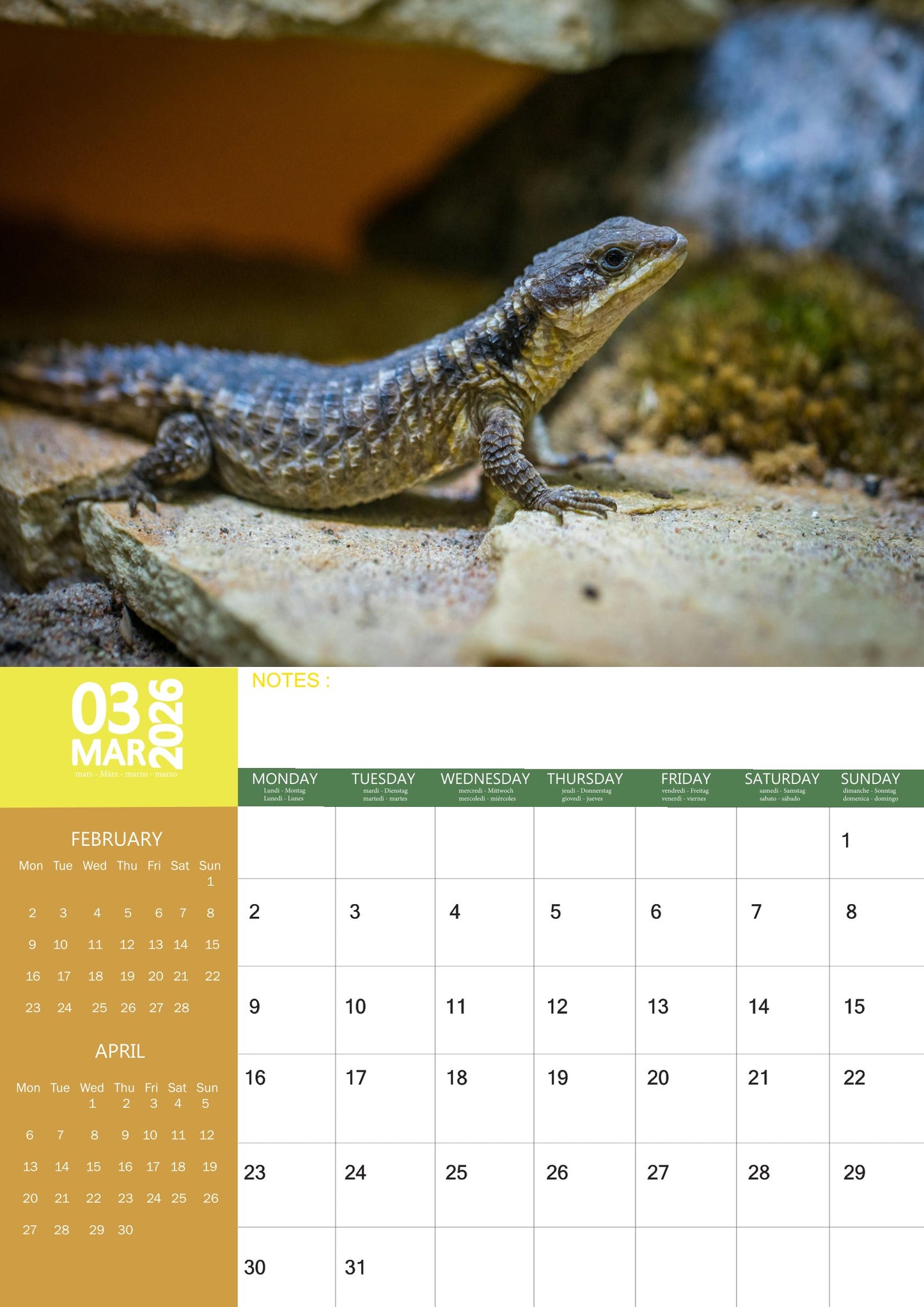 Lizard Calendar 2026 – M-PRA Range