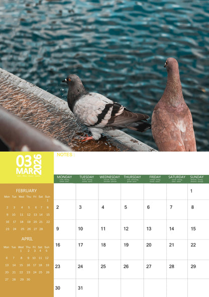 Pigeons Calendar 2026 – M-PRA Range