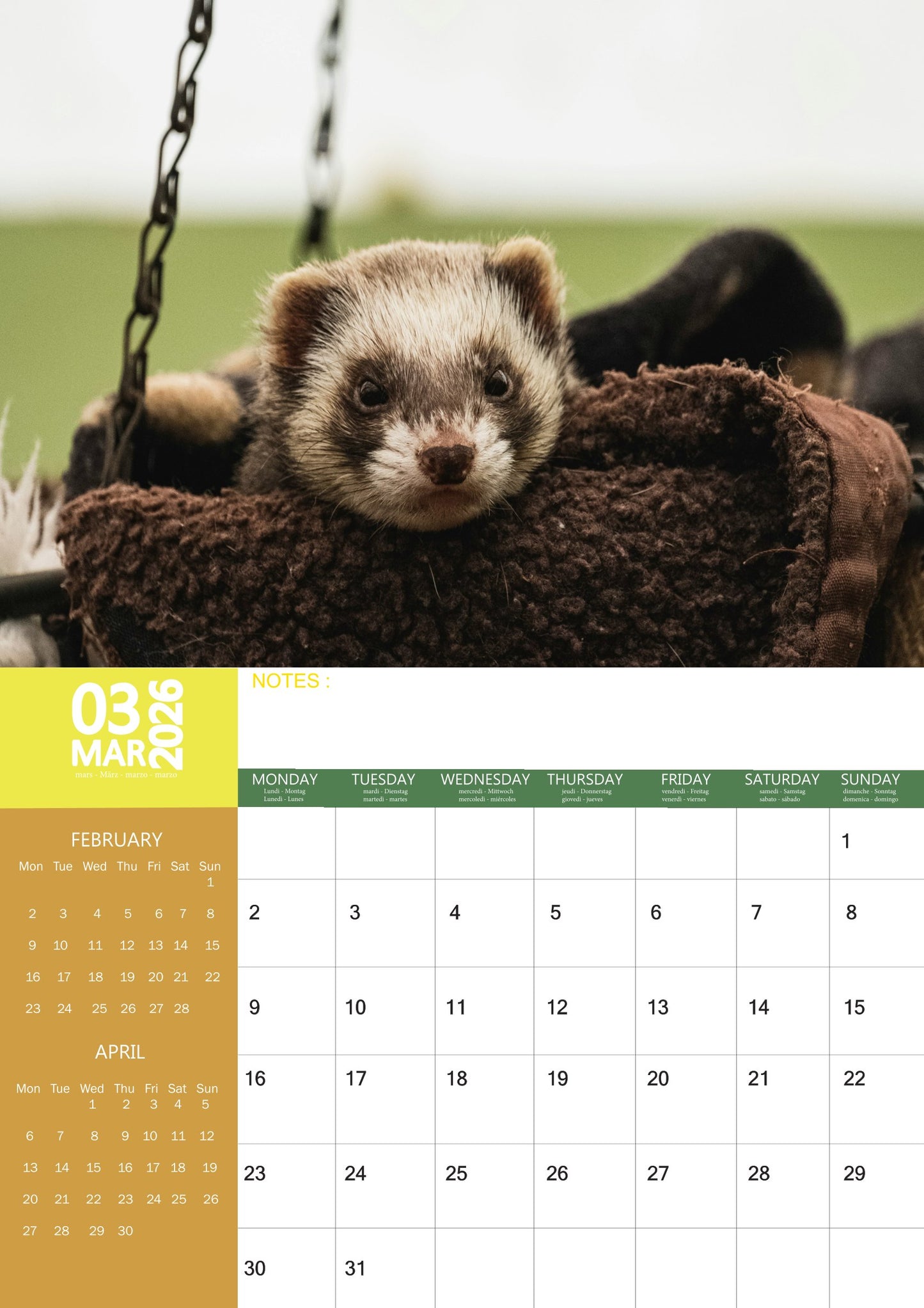Ferrets Calendar 2026 – M-PRA Range