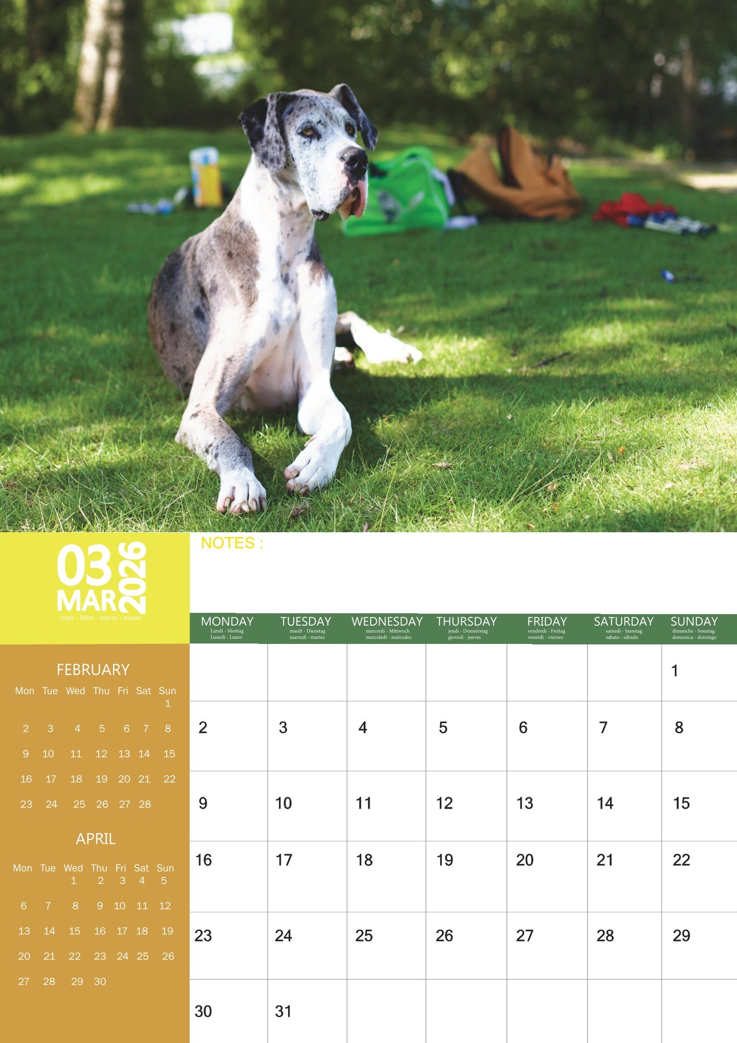 Great Dane Dog Calendar 2026 – M-PRA Range