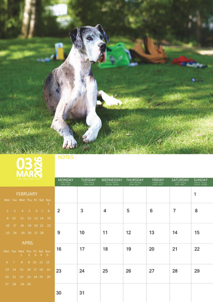 Great Dane Dog Calendar 2026 – M-PRA Range