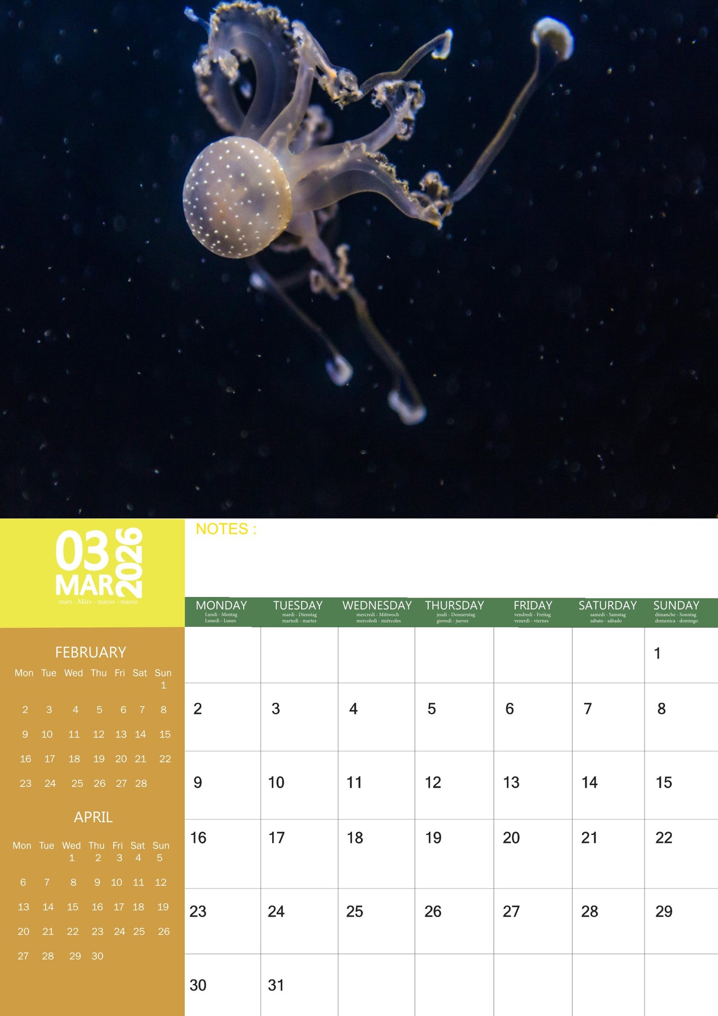 Jellyfish Calendar 2026 – M-PRA Range