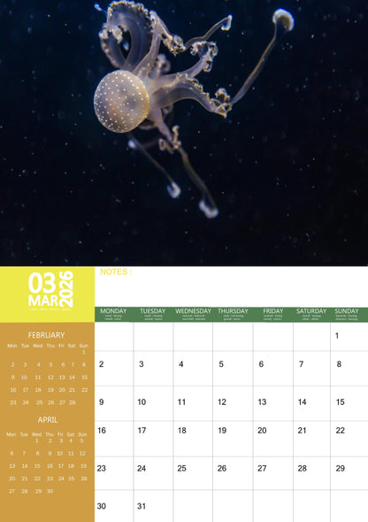 Jellyfish Calendar 2026 – M-PRA Range