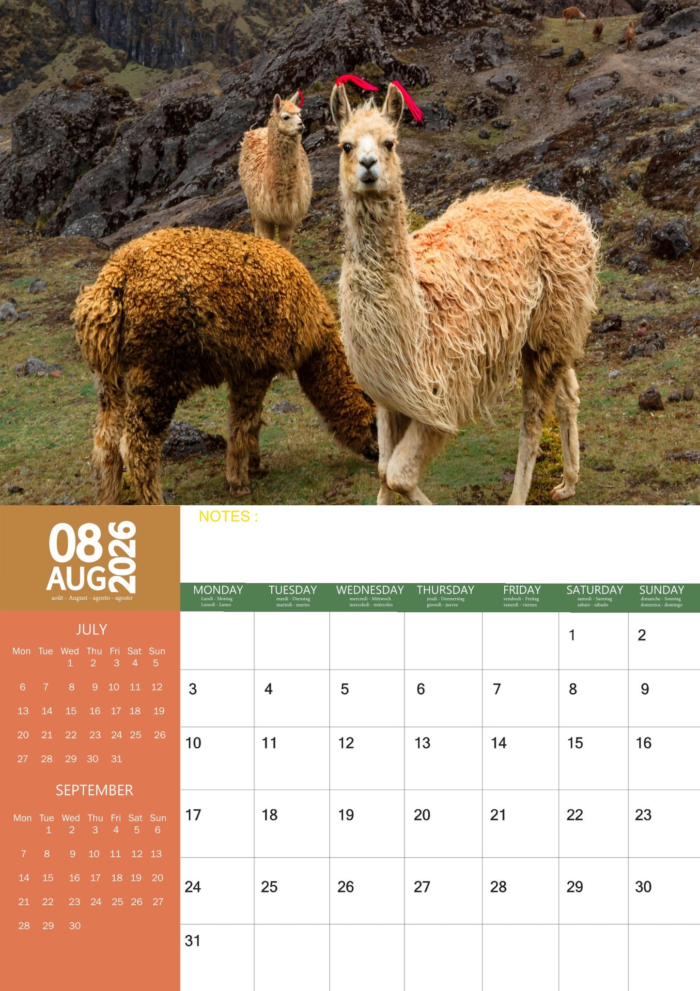 Alpacas Calendar 2026 – M-PRA Range