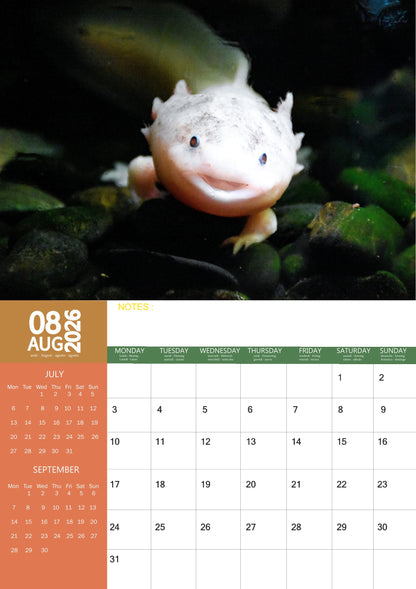 Axolotl Calendar 2026 – M-PRA Range