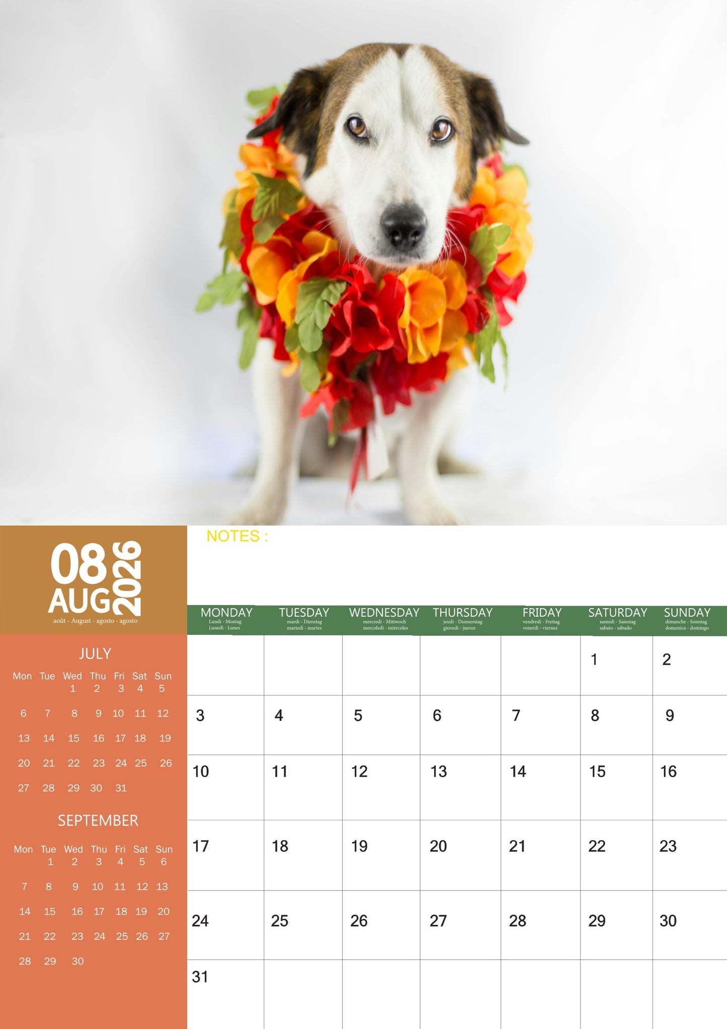 Jack Russell Dog Calendar 2026 – M-PRA Range