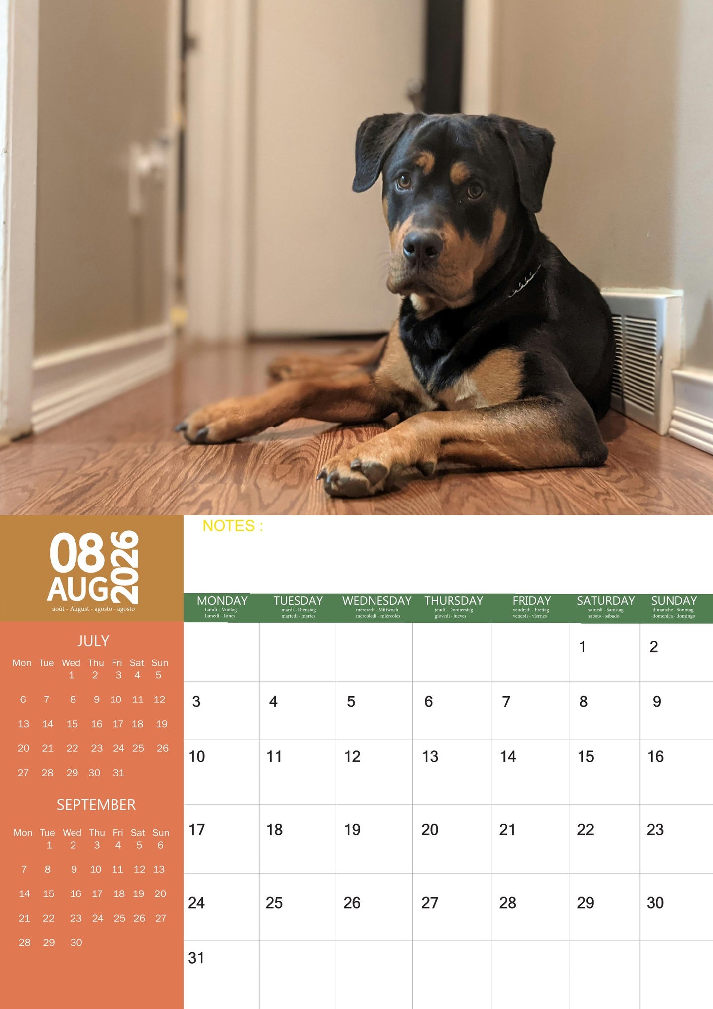 Rottweiler Dog Calendar 2026 – M-PRA Range