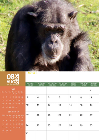 Apes Calendar 2026 – M-PRA Range