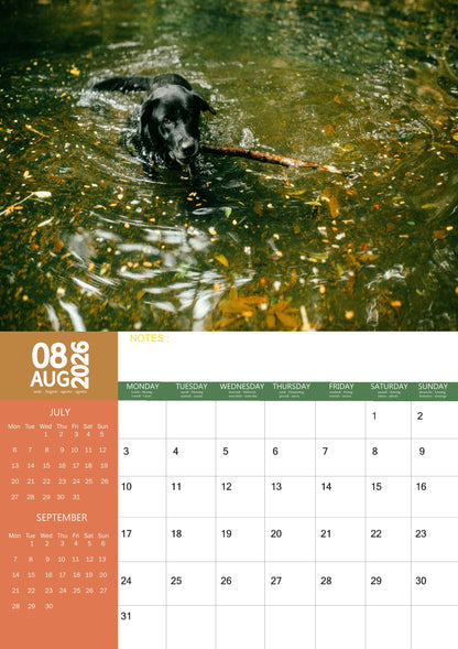 Labrador Retriever Black Dog Calendar 2026 – M-PRA Range
