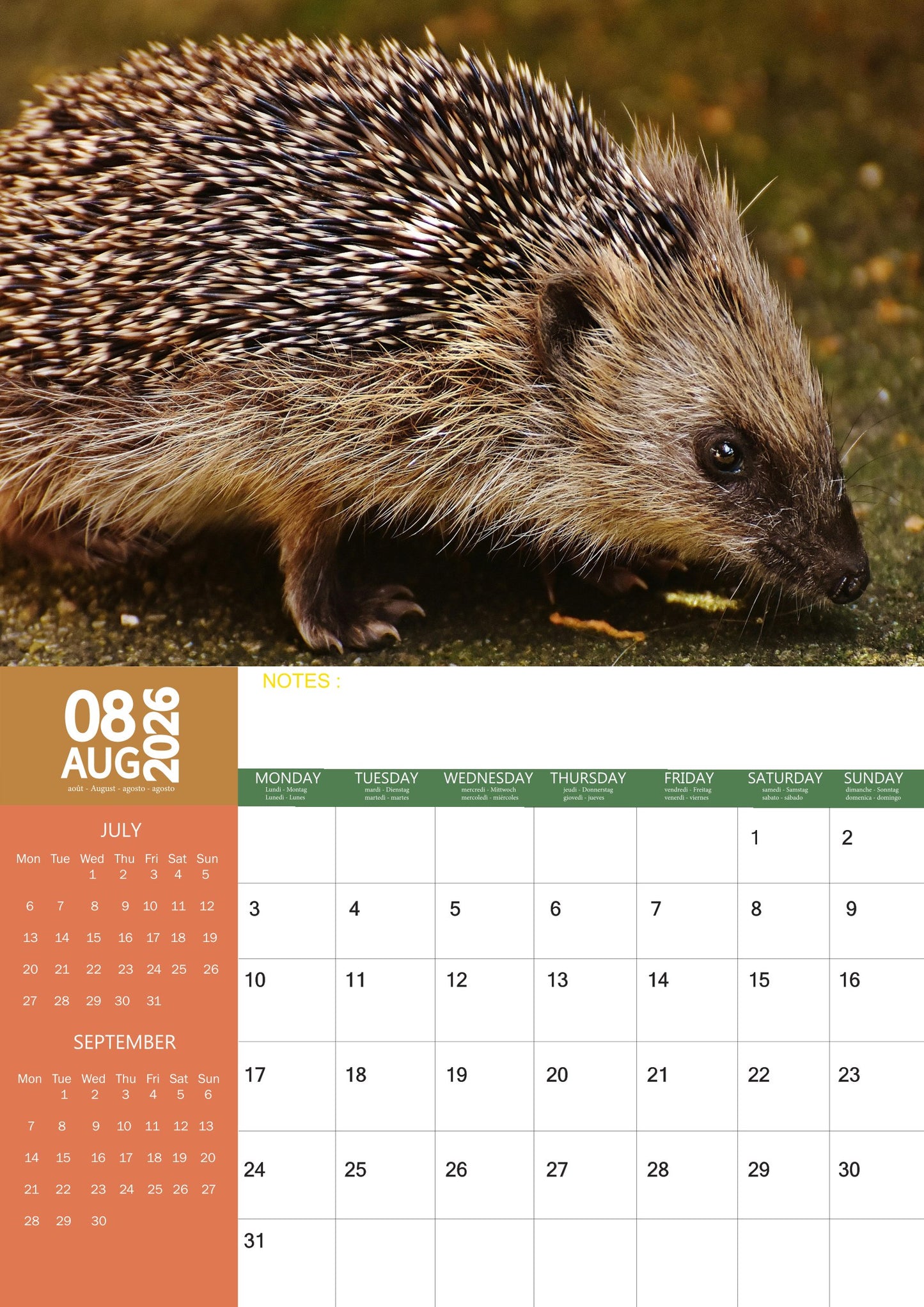 Hedgehog Calendar 2026 – M-PRA Range
