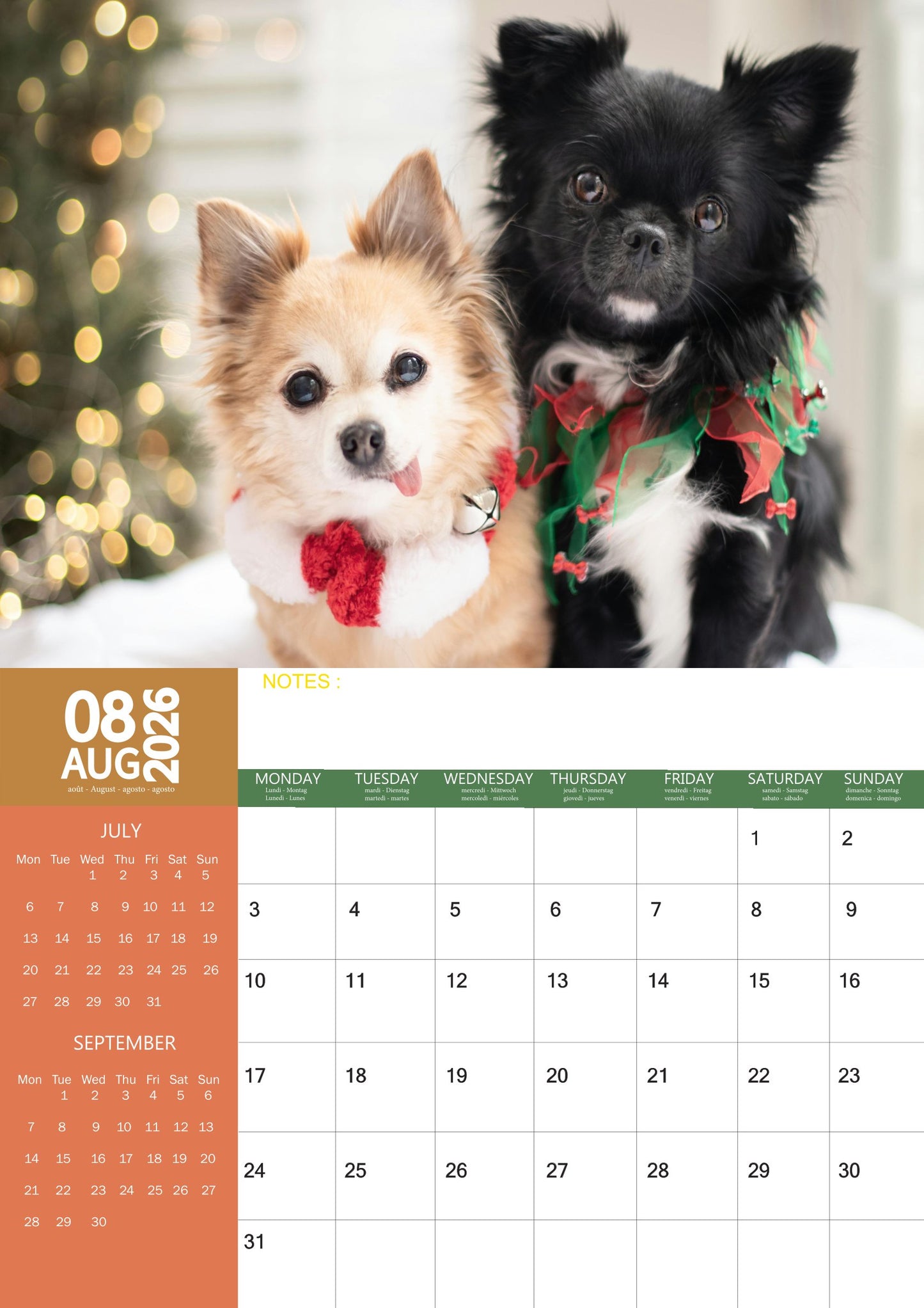 Chihuahua Dog Calendar 2026 – M-PRA Range