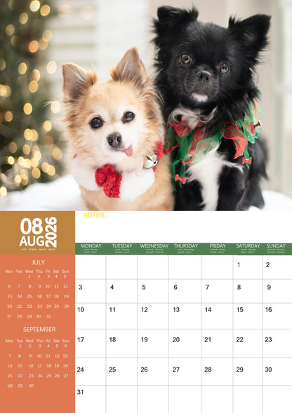 Chihuahua Dog Calendar 2026 – M-PRA Range