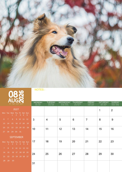 Shetland Sheepdog Calendar 2026 – M-PRA Range