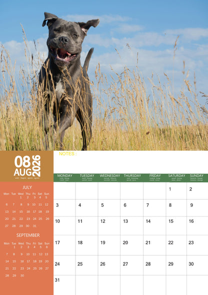 Mastiff Dog Calendar 2026 – M-PRA Range
