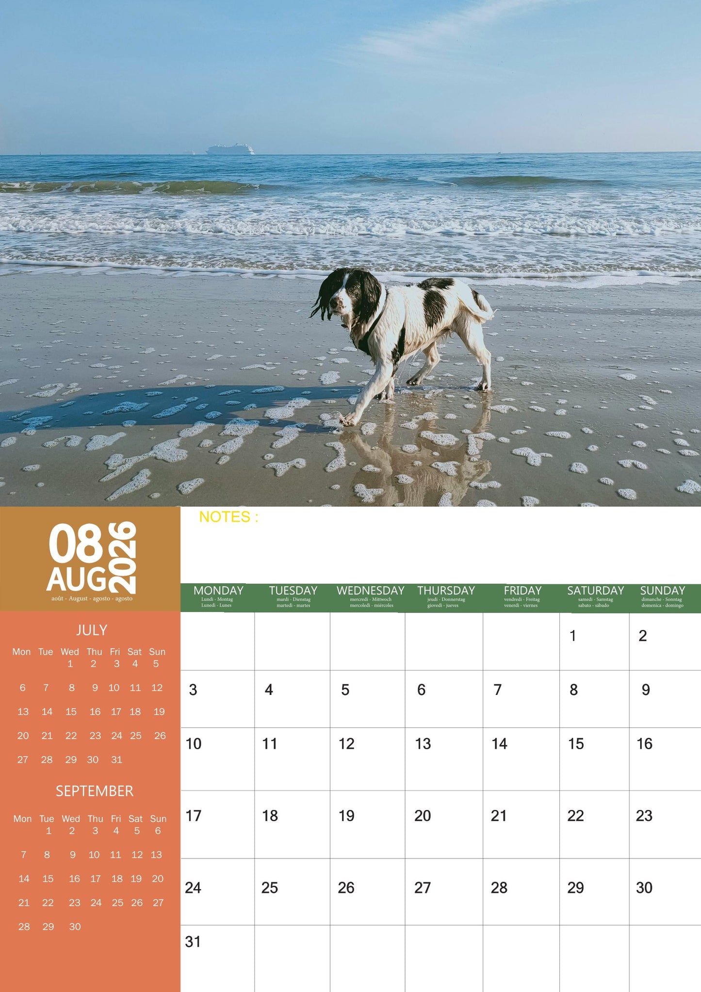 Springer Spaniel Dog Calendar 2026 – M-PRA Range