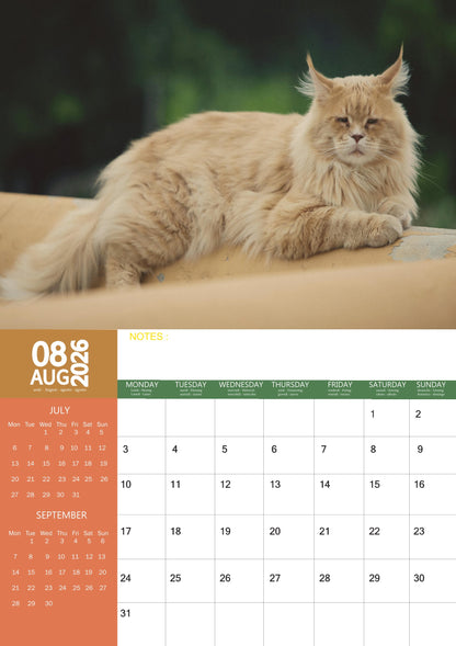 Maine Coon Cat Calendar 2026 – M-PRA Range