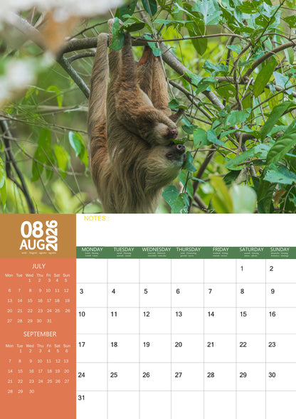 Sloths Calendar 2026 – M-PRA Range