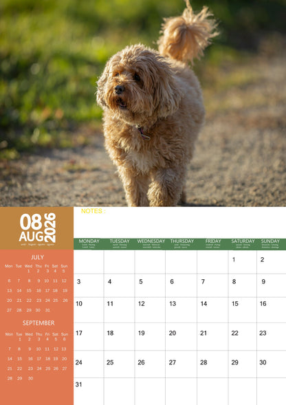 Cavapoo Dog Calendar 2026 – M-PRA Range