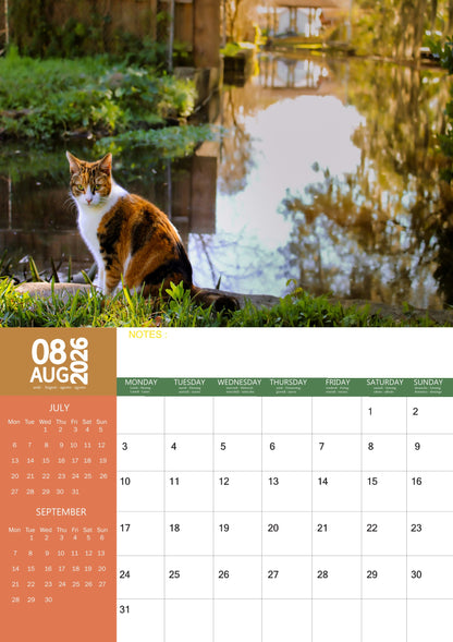 Calico Cats Calendar 2026 – M-PRA Range