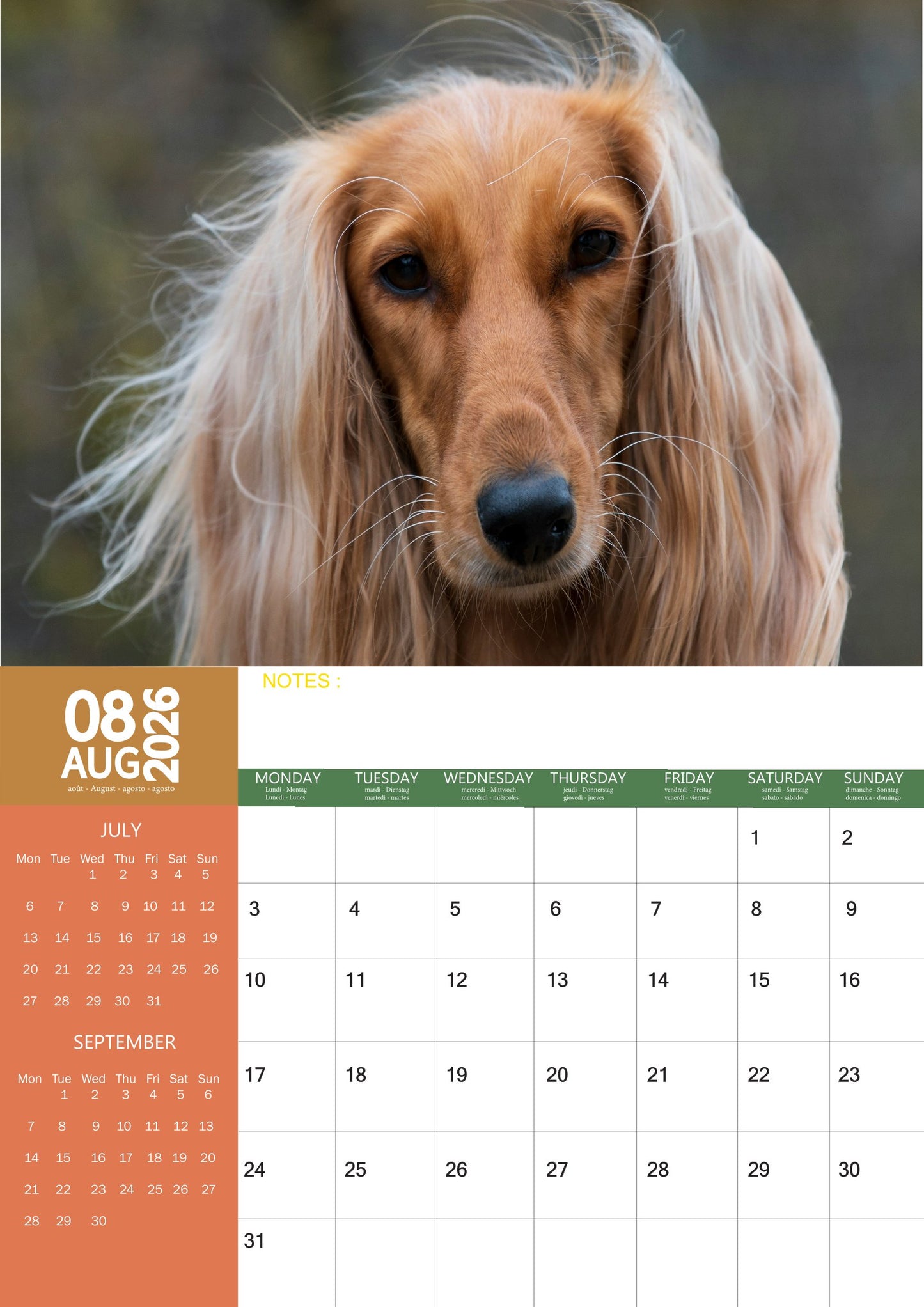 Afghan Hound Dog Calendar 2026 – M-PRA Range