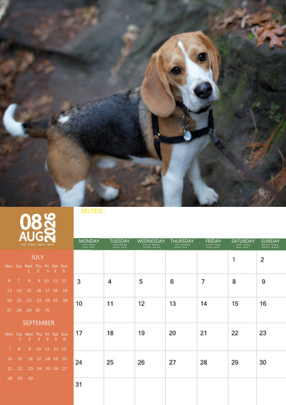 Beagle Dog Calendar 2026 – M-PRA Range