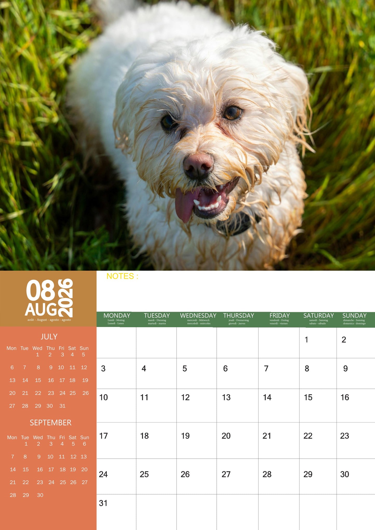 Bichon Frise Dog Calendar 2026 – M-PRA Range
