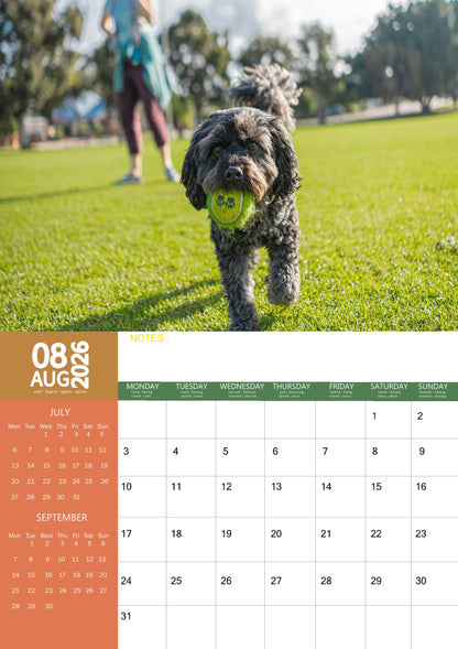 Cavoodle Dog Calendar 2026 – M-PRA Range