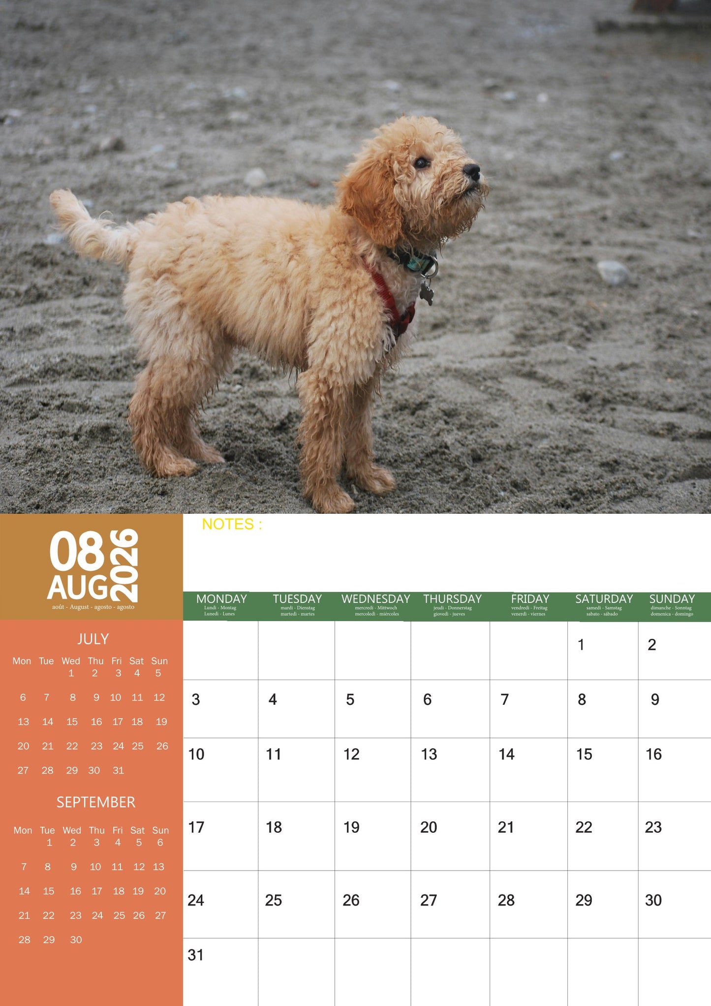 Goldendoodles Dog Calendar 2026 – M-PRA Range
