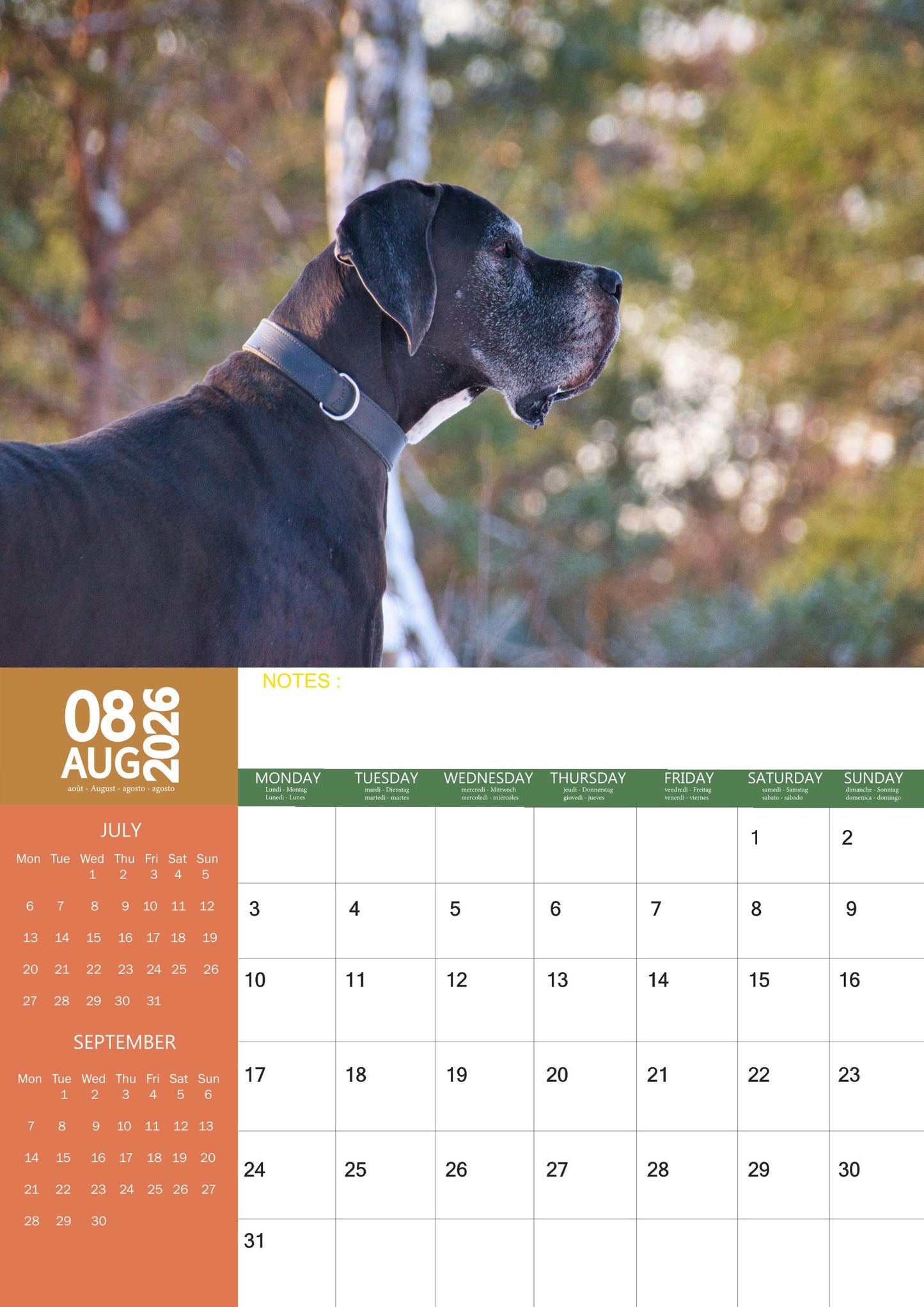 Great Dane Dog Calendar 2026 – M-PRA Range