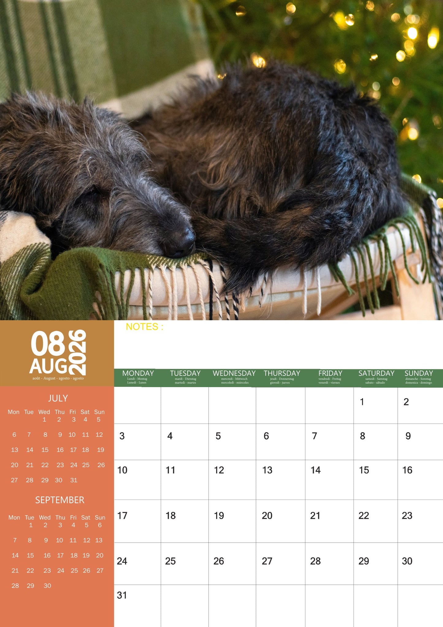 Irish Wolfhound Dog Calendar 2026 – M-PRA Range