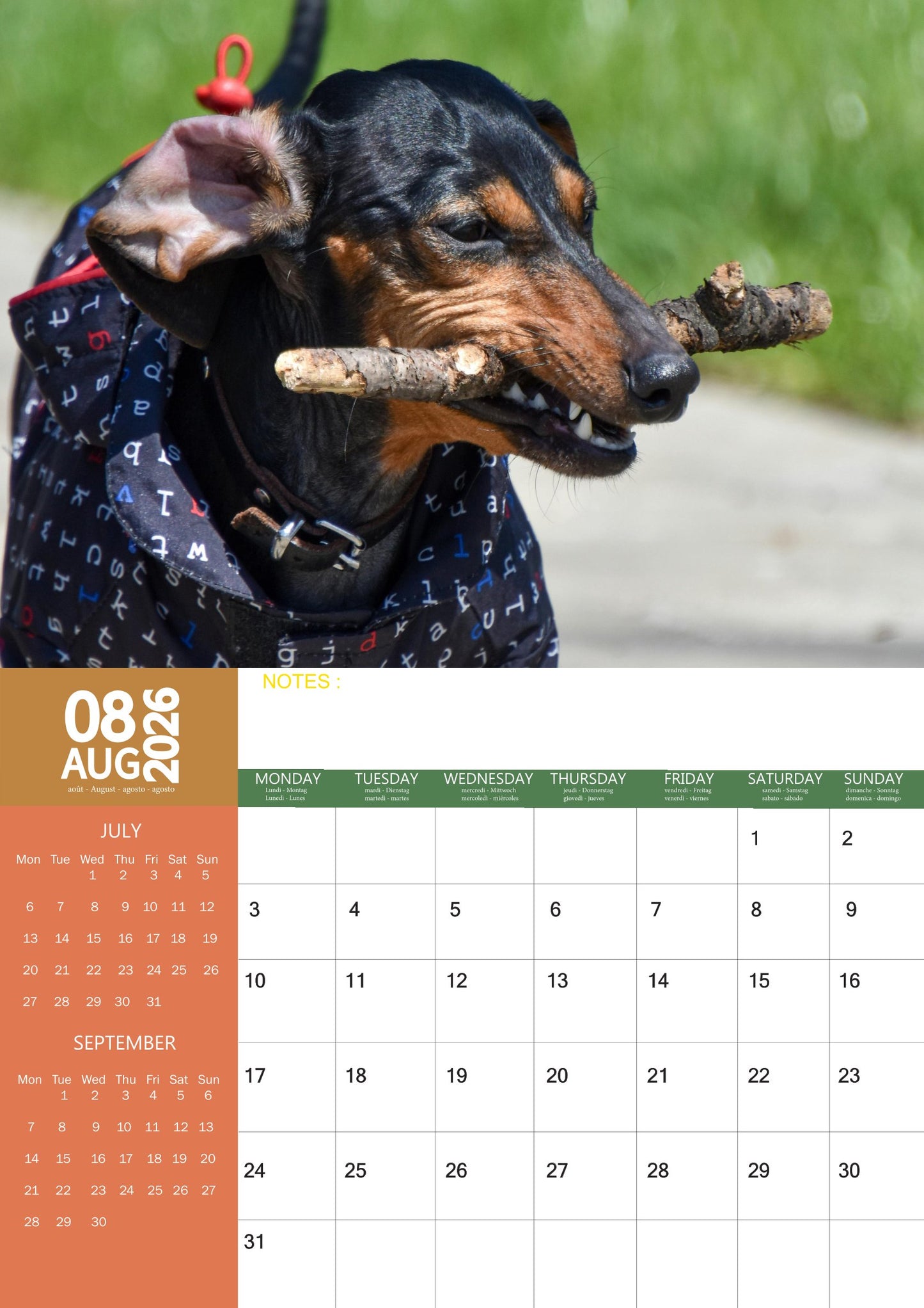 Miniature Dachshund Dog Calendar 2026 – M-PRA Range