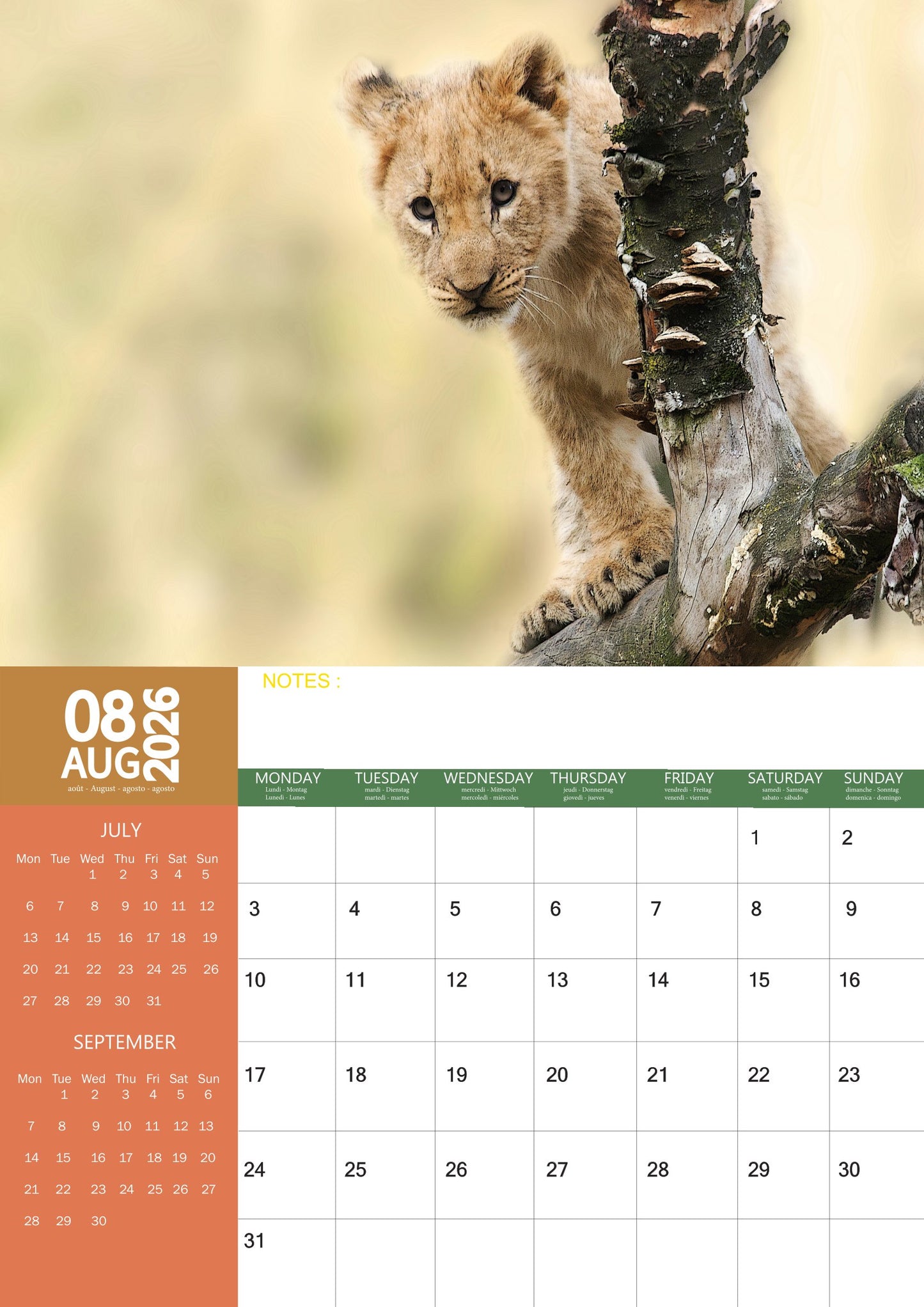 Lions Calendar 2026 – M-PRA Range