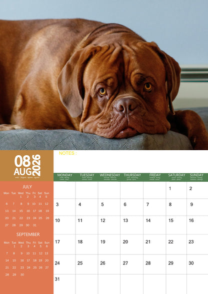 Dogue De Bordeaux Dog Calendar 2026 – M-PRA Range