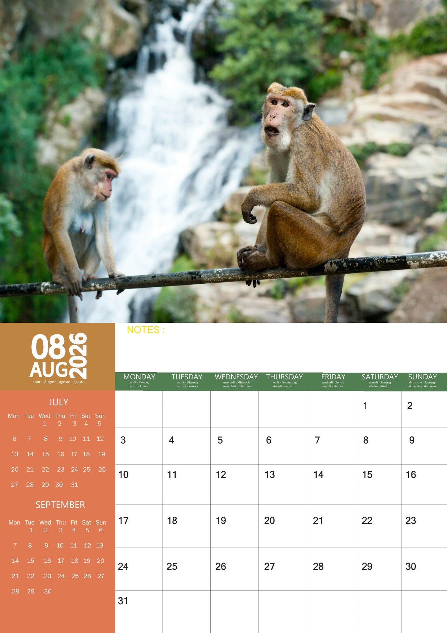 Monkeys Calendar 2026 – M-PRA Range