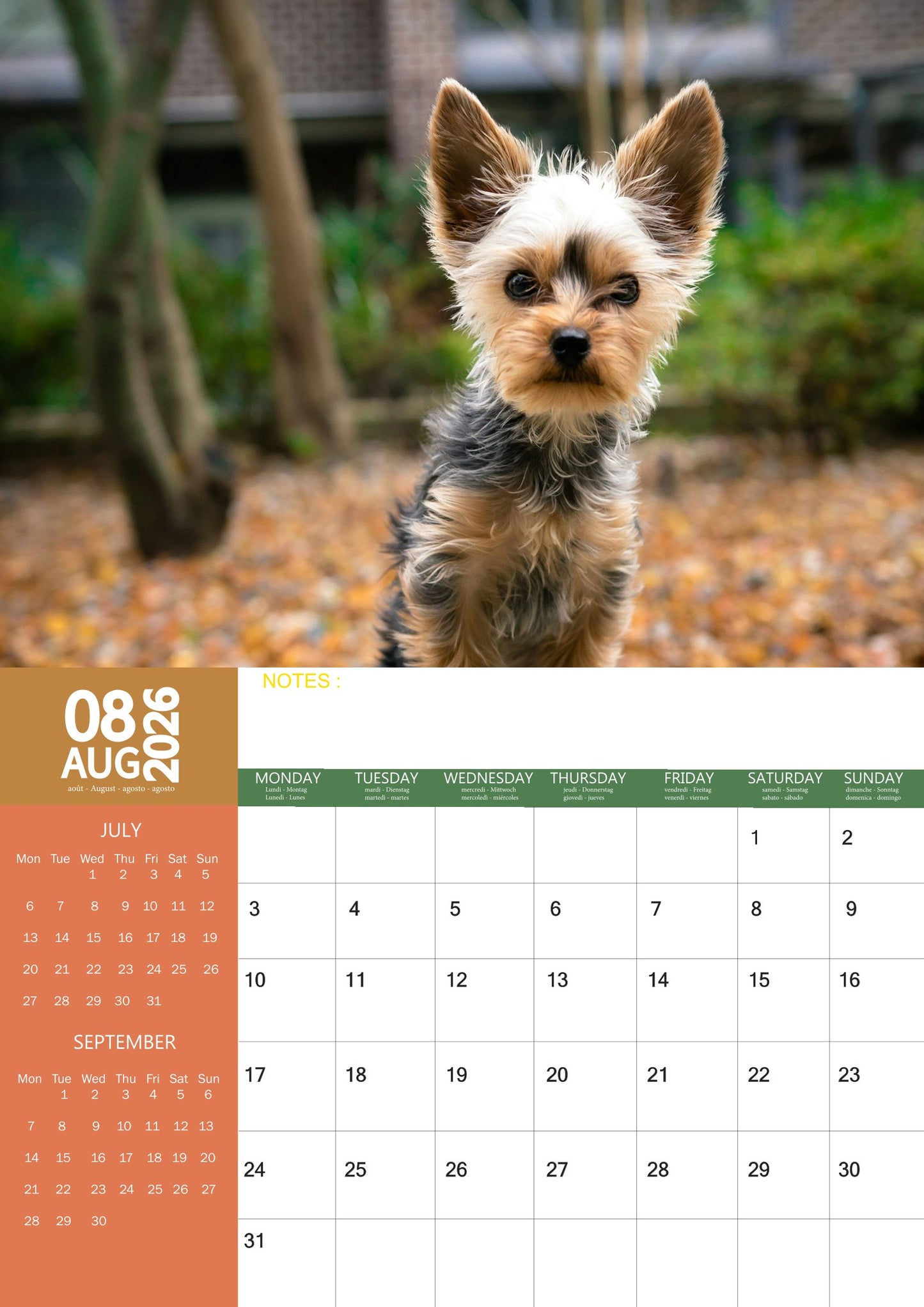 Yorkshire Terrier Dog Calendar 2026 – M-PRA Range