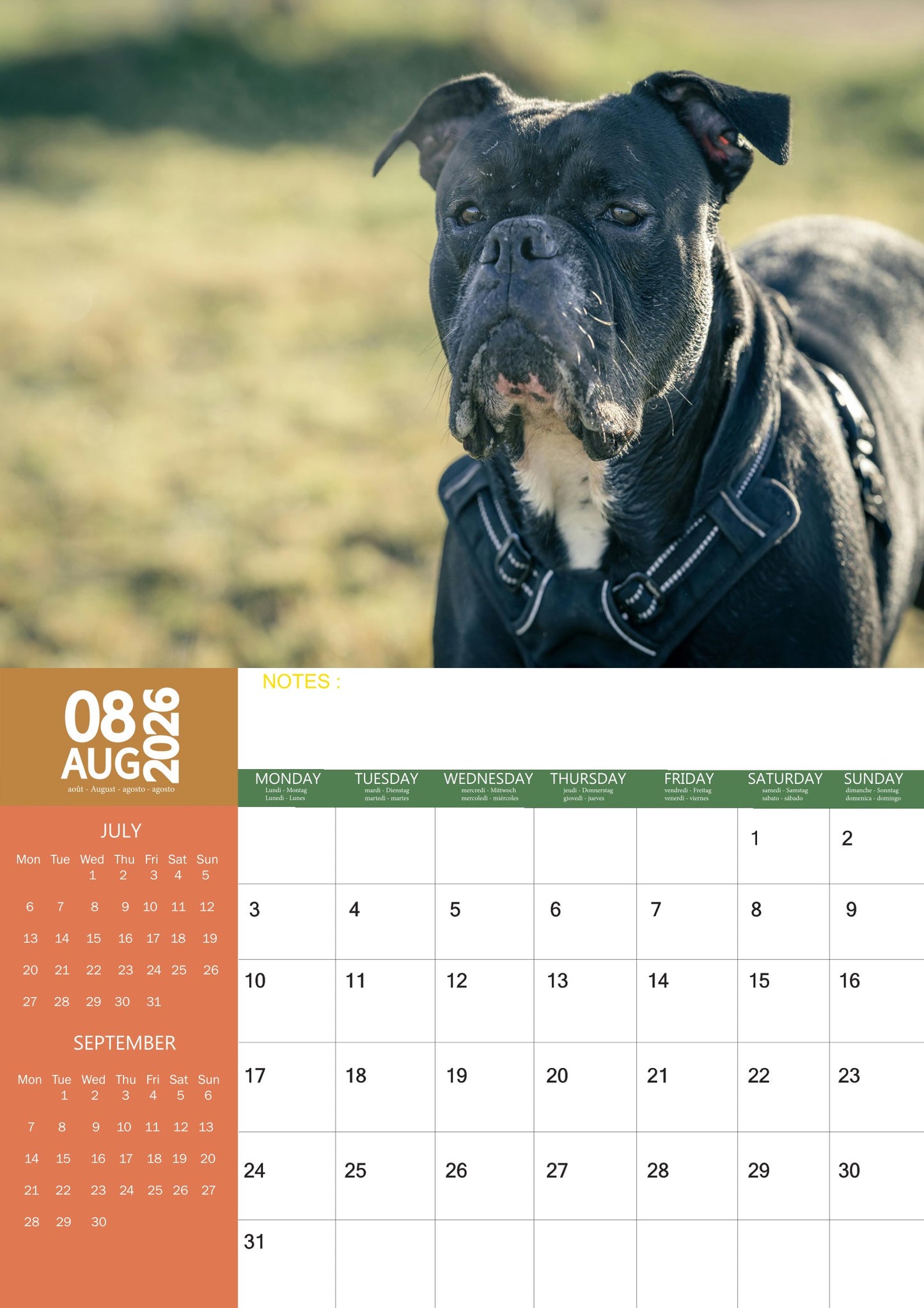Boxer Dog Calendar 2026 – M-PRA Range