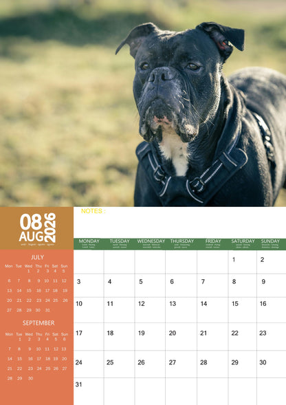 Boxer Dog Calendar 2026 – M-PRA Range