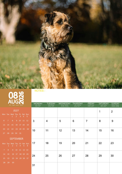 Border Terrier Dog Calendar 2026 – M-PRA Range