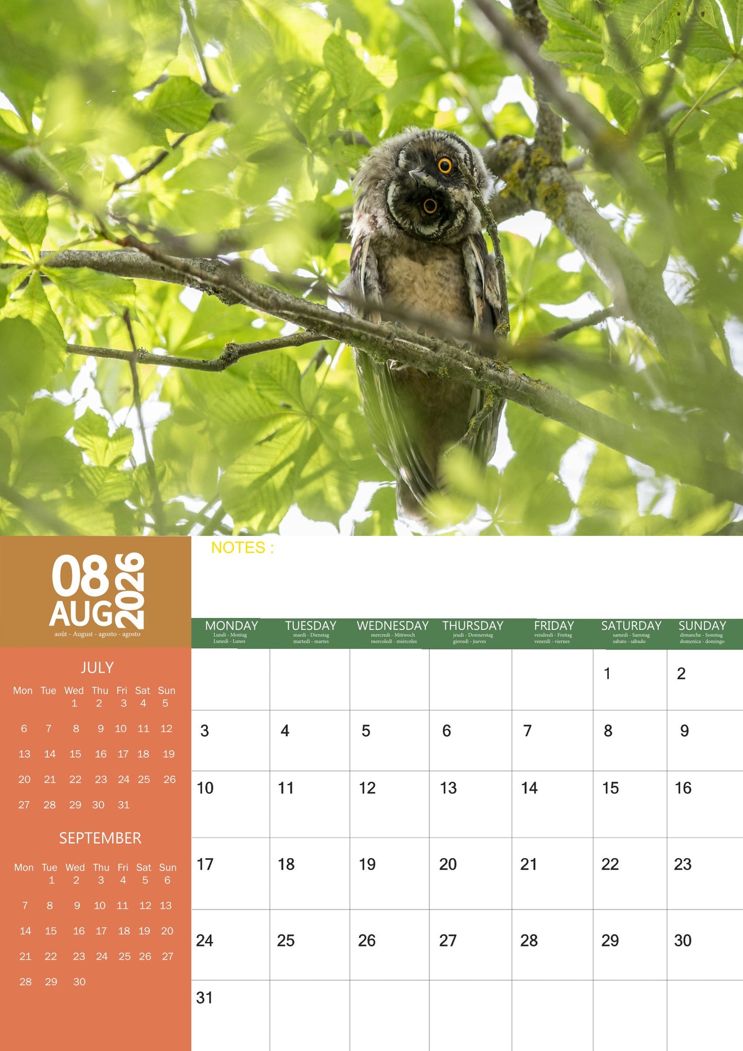 Owls Calendar 2026 – M-PRA Range