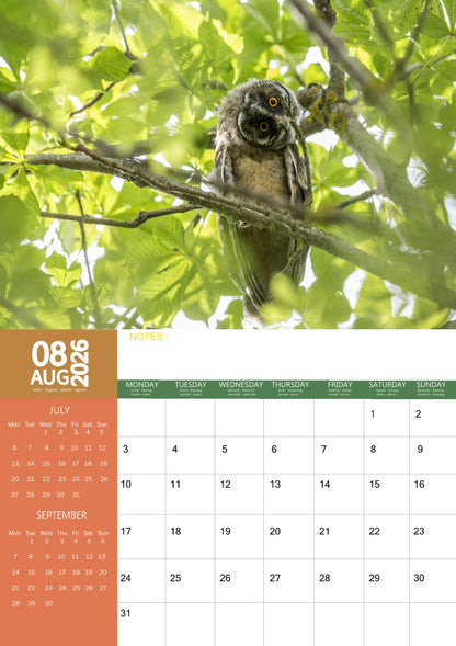 Owls Calendar 2026 – M-PRA Range