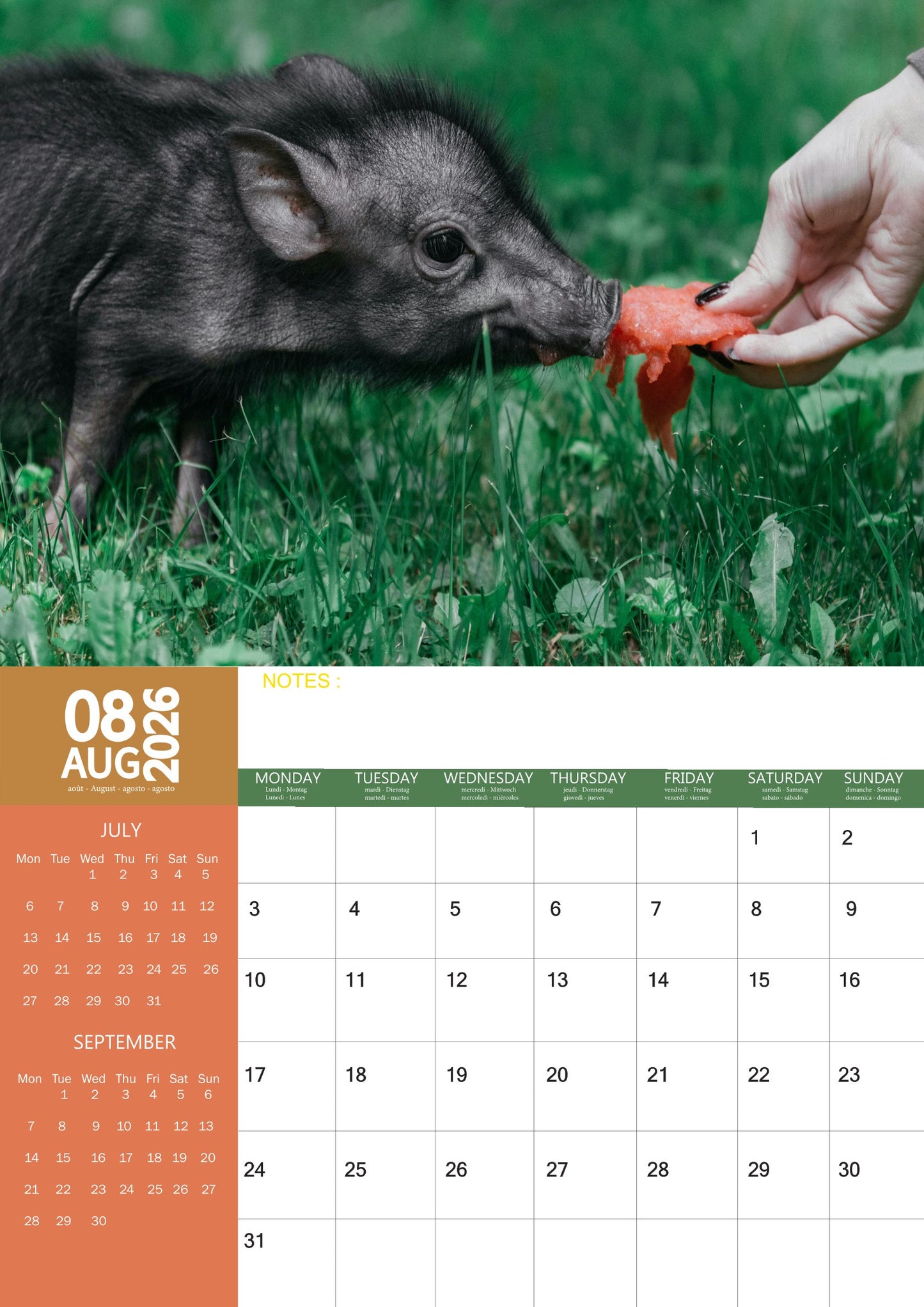 Piglets Calendar 2026 – M-PRA Range