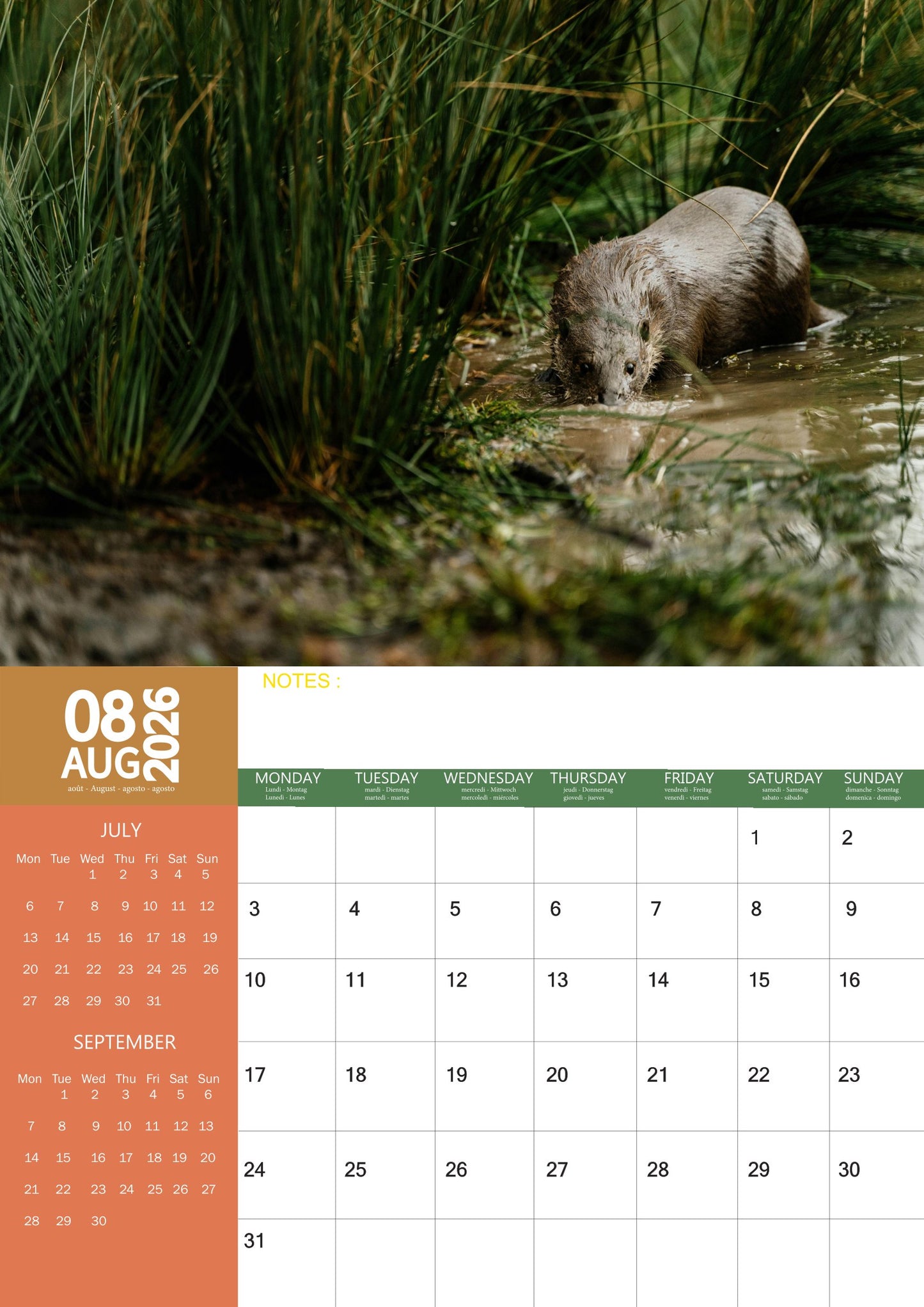 Otters Calendar 2026 – M-PRA Range